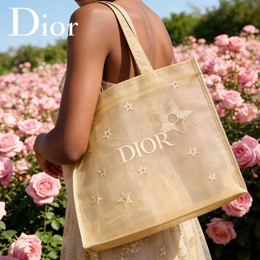 กระเป๋าคริสเตียน ดิออร์ ดิออร์ - Luxury Bags Dior บทวิจารณ์และราคา